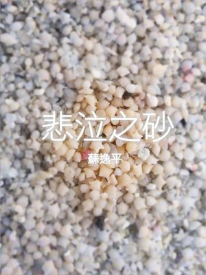 cover image of 悲泣之砂